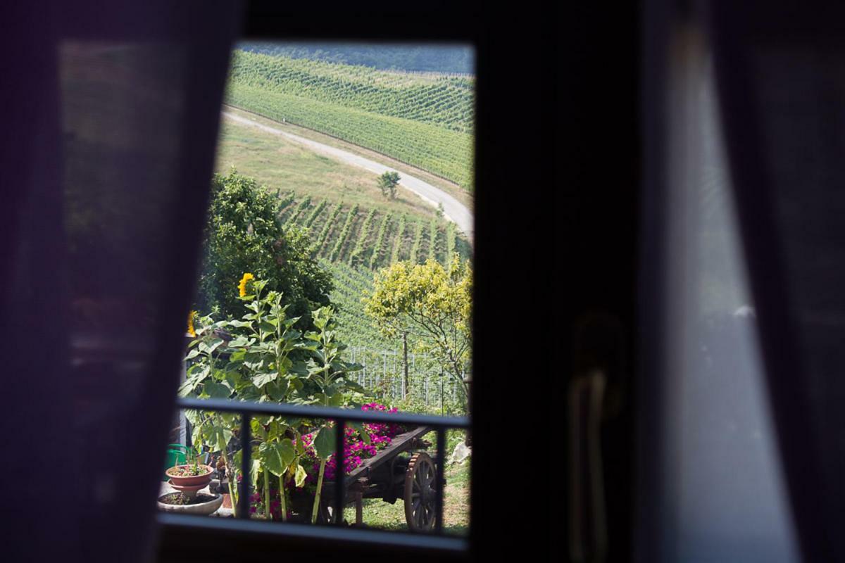 Agriturismo La Ca Veja Монфорте-д'Альба Экстерьер фото
